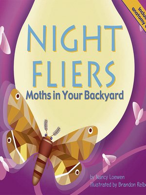 cover image of Night Fliers